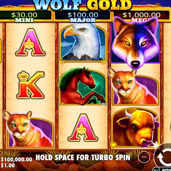 Wolf Gold